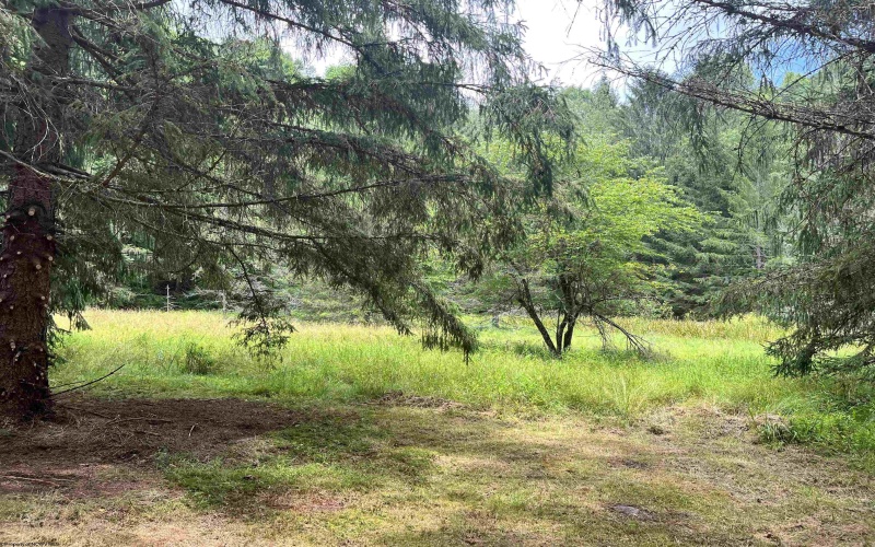1735 Heavner Grove Road, Buckhannon, West Virginia 26201, 2 Bedrooms Bedrooms, 4 Rooms Rooms,1 BathroomBathrooms,Single Family Detached,For Sale,Heavner Grove,0,10165980