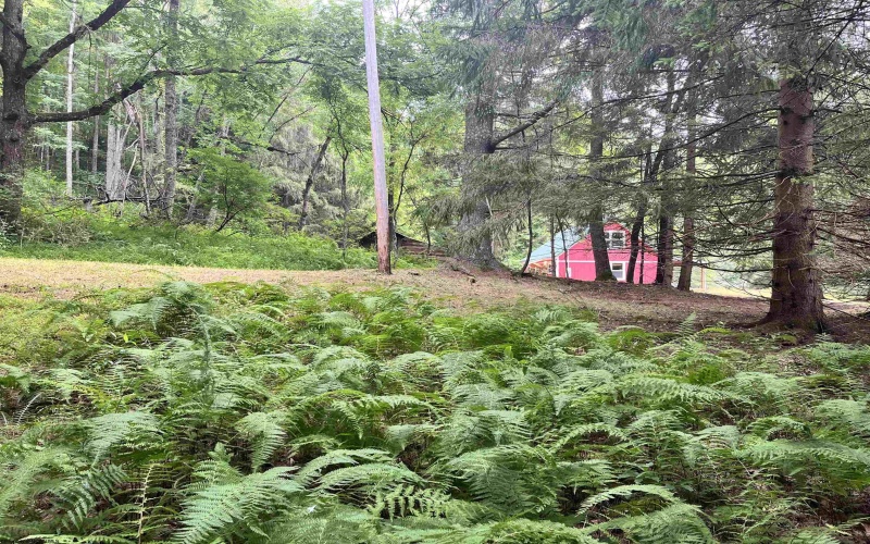 1735 Heavner Grove Road, Buckhannon, West Virginia 26201, 2 Bedrooms Bedrooms, 4 Rooms Rooms,1 BathroomBathrooms,Single Family Detached,For Sale,Heavner Grove,0,10165980