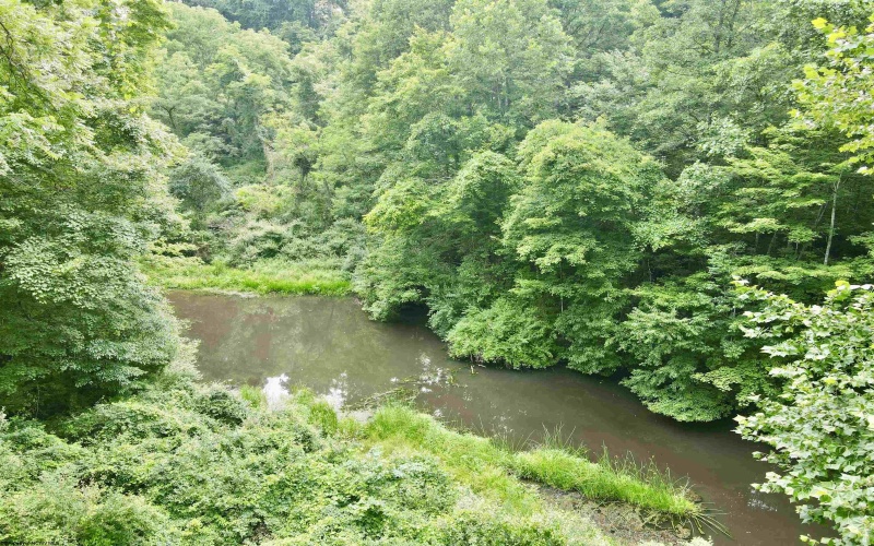 1527 Cowskin Fork Road, Duck, West Virginia 25063, 0 , 0 ,0,Lots/land,For Sale,Cowskin Fork,0,10165989 1527 Cowskin Fork Road, Duck, West Virginia 25063, 0 , 0 ,0,Lots/land,For Sale,Cowskin Fork,0,10165989