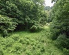 1527 Cowskin Fork Road, Duck, West Virginia 25063, 0 , 0 ,0,Lots/land,For Sale,Cowskin Fork,0,10165989 1527 Cowskin Fork Road, Duck, West Virginia 25063, 0 , 0 ,0,Lots/land,For Sale,Cowskin Fork,0,10165989