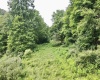 1527 Cowskin Fork Road, Duck, West Virginia 25063, 0 , 0 ,0,Lots/land,For Sale,Cowskin Fork,0,10165989 1527 Cowskin Fork Road, Duck, West Virginia 25063, 0 , 0 ,0,Lots/land,For Sale,Cowskin Fork,0,10165989