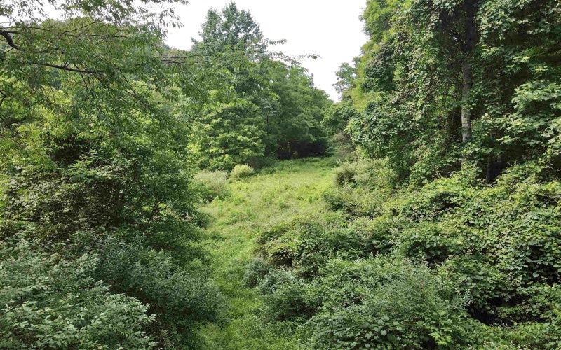 1527 Cowskin Fork Road, Duck, West Virginia 25063, 0 , 0 ,0,Lots/land,For Sale,Cowskin Fork,0,10165989 1527 Cowskin Fork Road, Duck, West Virginia 25063, 0 , 0 ,0,Lots/land,For Sale,Cowskin Fork,0,10165989