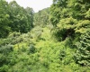 1527 Cowskin Fork Road, Duck, West Virginia 25063, 0 , 0 ,0,Lots/land,For Sale,Cowskin Fork,0,10165989 1527 Cowskin Fork Road, Duck, West Virginia 25063, 0 , 0 ,0,Lots/land,For Sale,Cowskin Fork,0,10165989