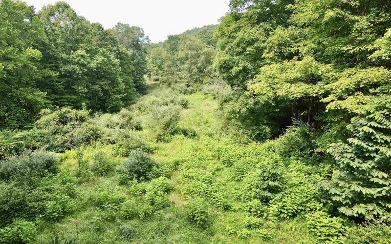 1527 Cowskin Fork Road, Duck, West Virginia 25063, 0 , 0 ,0,Lots/land,For Sale,Cowskin Fork,0,10165989 1527 Cowskin Fork Road, Duck, West Virginia 25063, 0 , 0 ,0,Lots/land,For Sale,Cowskin Fork,0,10165989