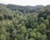 1527 Cowskin Fork Road, Duck, West Virginia 25063, 0 , 0 ,0,Lots/land,For Sale,Cowskin Fork,0,10165989 1527 Cowskin Fork Road, Duck, West Virginia 25063, 0 , 0 ,0,Lots/land,For Sale,Cowskin Fork,0,10165989
