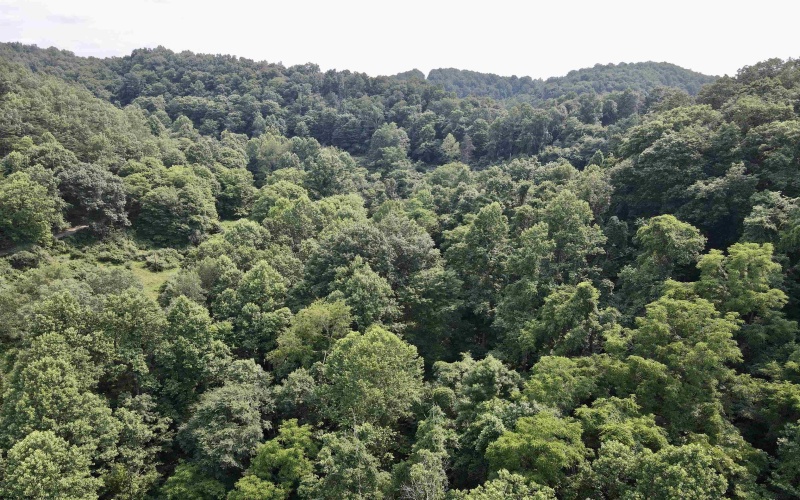 1527 Cowskin Fork Road, Duck, West Virginia 25063, 0 , 0 ,0,Lots/land,For Sale,Cowskin Fork,0,10165989 1527 Cowskin Fork Road, Duck, West Virginia 25063, 0 , 0 ,0,Lots/land,For Sale,Cowskin Fork,0,10165989