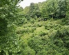 1527 Cowskin Fork Road, Duck, West Virginia 25063, 0 , 0 ,0,Lots/land,For Sale,Cowskin Fork,0,10165989 1527 Cowskin Fork Road, Duck, West Virginia 25063, 0 , 0 ,0,Lots/land,For Sale,Cowskin Fork,0,10165989