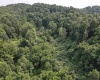 1527 Cowskin Fork Road, Duck, West Virginia 25063, 0 , 0 ,0,Lots/land,For Sale,Cowskin Fork,0,10165989 1527 Cowskin Fork Road, Duck, West Virginia 25063, 0 , 0 ,0,Lots/land,For Sale,Cowskin Fork,0,10165989
