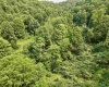1527 Cowskin Fork Road, Duck, West Virginia 25063, 0 , 0 ,0,Lots/land,For Sale,Cowskin Fork,0,10165989 1527 Cowskin Fork Road, Duck, West Virginia 25063, 0 , 0 ,0,Lots/land,For Sale,Cowskin Fork,0,10165989
