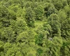 1527 Cowskin Fork Road, Duck, West Virginia 25063, 0 , 0 ,0,Lots/land,For Sale,Cowskin Fork,0,10165989 1527 Cowskin Fork Road, Duck, West Virginia 25063, 0 , 0 ,0,Lots/land,For Sale,Cowskin Fork,0,10165989