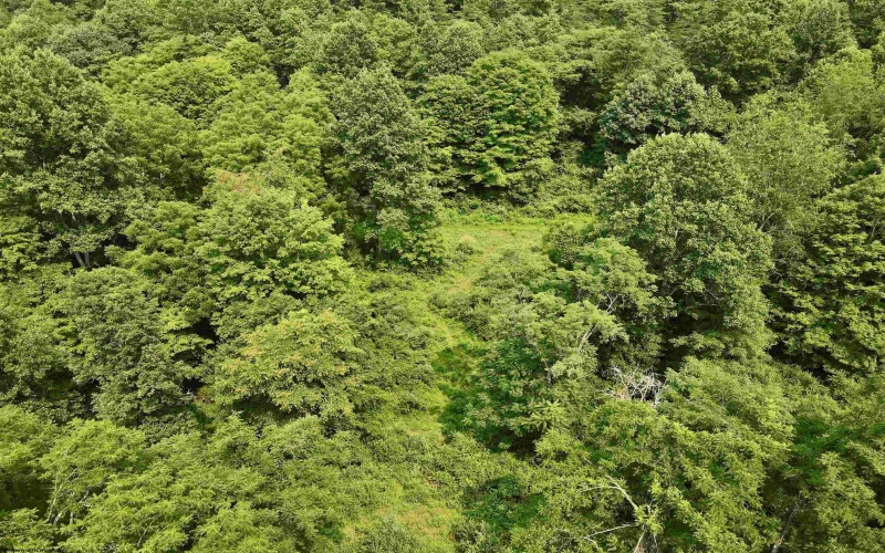 1527 Cowskin Fork Road, Duck, West Virginia 25063, 0 , 0 ,0,Lots/land,For Sale,Cowskin Fork,0,10165989 1527 Cowskin Fork Road, Duck, West Virginia 25063, 0 , 0 ,0,Lots/land,For Sale,Cowskin Fork,0,10165989