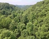 1527 Cowskin Fork Road, Duck, West Virginia 25063, 0 , 0 ,0,Lots/land,For Sale,Cowskin Fork,0,10165989 1527 Cowskin Fork Road, Duck, West Virginia 25063, 0 , 0 ,0,Lots/land,For Sale,Cowskin Fork,0,10165989