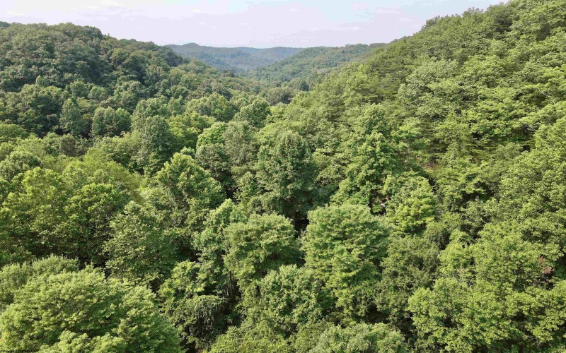 1527 Cowskin Fork Road, Duck, West Virginia 25063, 0 , 0 ,0,Lots/land,For Sale,Cowskin Fork,0,10165989 1527 Cowskin Fork Road, Duck, West Virginia 25063, 0 , 0 ,0,Lots/land,For Sale,Cowskin Fork,0,10165989