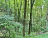1527 Cowskin Fork Road, Duck, West Virginia 25063, 0 , 0 ,0,Lots/land,For Sale,Cowskin Fork,0,10165989 1527 Cowskin Fork Road, Duck, West Virginia 25063, 0 , 0 ,0,Lots/land,For Sale,Cowskin Fork,0,10165989