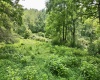 1527 Cowskin Fork Road, Duck, West Virginia 25063, 0 , 0 ,0,Lots/land,For Sale,Cowskin Fork,0,10165989 1527 Cowskin Fork Road, Duck, West Virginia 25063, 0 , 0 ,0,Lots/land,For Sale,Cowskin Fork,0,10165989