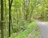 1527 Cowskin Fork Road, Duck, West Virginia 25063, 0 , 0 ,0,Lots/land,For Sale,Cowskin Fork,0,10165989 1527 Cowskin Fork Road, Duck, West Virginia 25063, 0 , 0 ,0,Lots/land,For Sale,Cowskin Fork,0,10165989