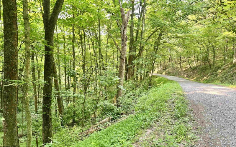 1527 Cowskin Fork Road, Duck, West Virginia 25063, 0 , 0 ,0,Lots/land,For Sale,Cowskin Fork,0,10165989 1527 Cowskin Fork Road, Duck, West Virginia 25063, 0 , 0 ,0,Lots/land,For Sale,Cowskin Fork,0,10165989