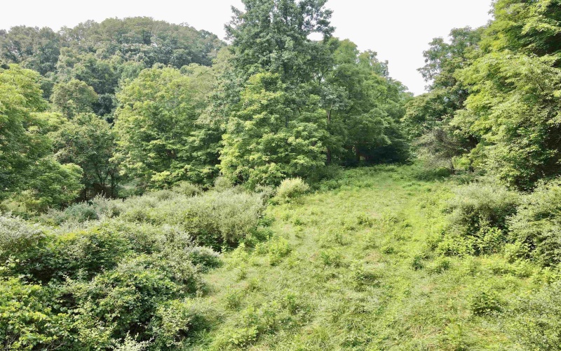1527 Cowskin Fork Road, Duck, West Virginia 25063, 0 , 0 ,0,Lots/land,For Sale,Cowskin Fork,0,10165989 1527 Cowskin Fork Road, Duck, West Virginia 25063, 0 , 0 ,0,Lots/land,For Sale,Cowskin Fork,0,10165989