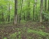 TBD Battle Street, Parsons, West Virginia 26287, 0 , 0 ,0,Lots/land,For Sale,Battle,0,10165992