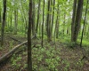 TBD Battle Street, Parsons, West Virginia 26287, 0 , 0 ,0,Lots/land,For Sale,Battle,0,10165992