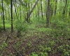 TBD Battle Street, Parsons, West Virginia 26287, 0 , 0 ,0,Lots/land,For Sale,Battle,0,10165992