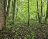 TBD Battle Street, Parsons, West Virginia 26287, 0 , 0 ,0,Lots/land,For Sale,Battle,0,10165992