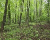 TBD Battle Street, Parsons, West Virginia 26287, 0 , 0 ,0,Lots/land,For Sale,Battle,0,10165992