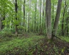 TBD Battle Street, Parsons, West Virginia 26287, 0 , 0 ,0,Lots/land,For Sale,Battle,0,10165992