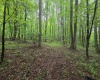 TBD Battle Street, Parsons, West Virginia 26287, 0 , 0 ,0,Lots/land,For Sale,Battle,0,10165992
