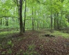 TBD Battle Street, Parsons, West Virginia 26287, 0 , 0 ,0,Lots/land,For Sale,Battle,0,10165992