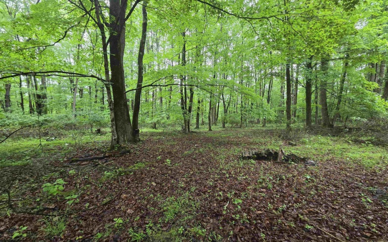 TBD Battle Street, Parsons, West Virginia 26287, 0 , 0 ,0,Lots/land,For Sale,Battle,0,10165992
