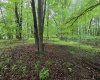 TBD Battle Street, Parsons, West Virginia 26287, 0 , 0 ,0,Lots/land,For Sale,Battle,0,10165992