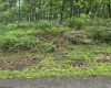 TBD Battle Street, Parsons, West Virginia 26287, 0 , 0 ,0,Lots/land,For Sale,Battle,0,10165992