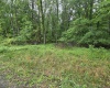 TBD Battle Street, Parsons, West Virginia 26287, 0 , 0 ,0,Lots/land,For Sale,Battle,0,10165992