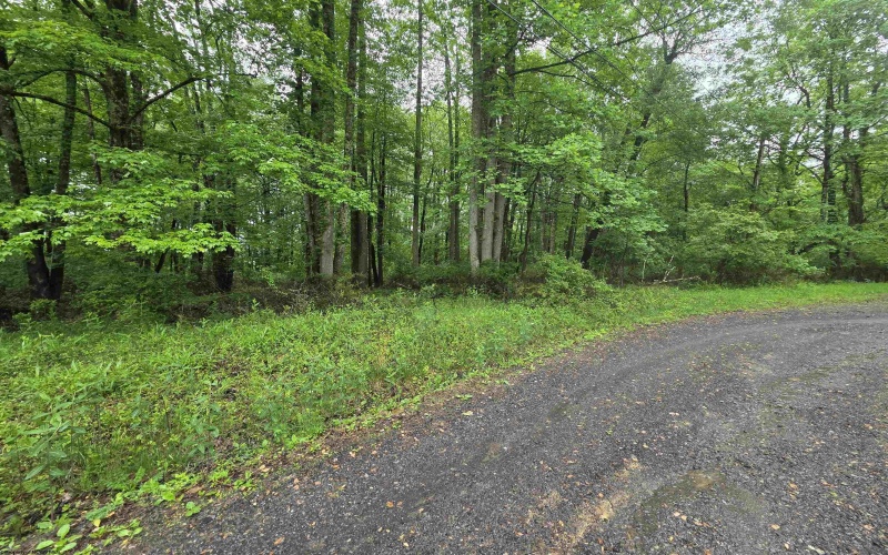TBD Battle Street, Parsons, West Virginia 26287, 0 , 0 ,0,Lots/land,For Sale,Battle,0,10165992