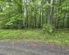 TBD Battle Street, Parsons, West Virginia 26287, 0 , 0 ,0,Lots/land,For Sale,Battle,0,10165992