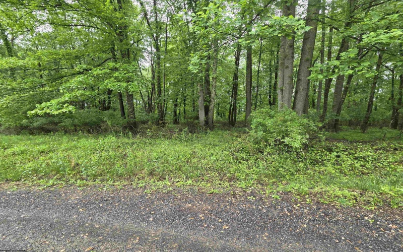TBD Battle Street, Parsons, West Virginia 26287, 0 , 0 ,0,Lots/land,For Sale,Battle,0,10165992