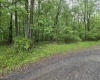 TBD Battle Street, Parsons, West Virginia 26287, 0 , 0 ,0,Lots/land,For Sale,Battle,0,10165992
