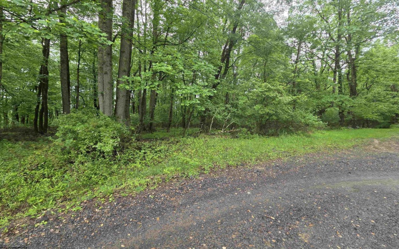 TBD Battle Street, Parsons, West Virginia 26287, 0 , 0 ,0,Lots/land,For Sale,Battle,0,10165992