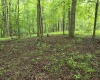 TBD Battle Street, Parsons, West Virginia 26287, 0 , 0 ,0,Lots/land,For Sale,Battle,0,10165992