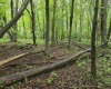 TBD Battle Street, Parsons, West Virginia 26287, 0 , 0 ,0,Lots/land,For Sale,Battle,0,10165992