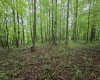 TBD Battle Street, Parsons, West Virginia 26287, 0 , 0 ,0,Lots/land,For Sale,Battle,0,10165992