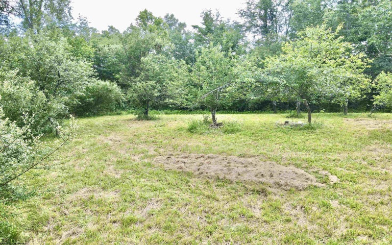 TBD O'Brian Road, Duck, West Virginia 25063, 0 , 0 ,0,Lots/land,For Sale,O'Brian,0,10165990