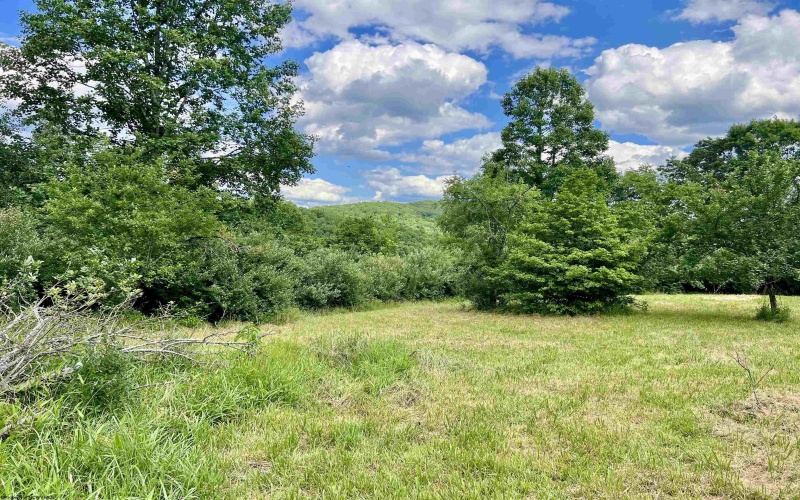 TBD O'Brian Road, Duck, West Virginia 25063, 0 , 0 ,0,Lots/land,For Sale,O'Brian,0,10165990