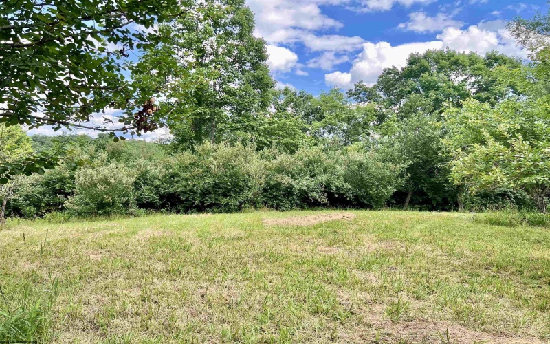 TBD O'Brian Road, Duck, West Virginia 25063, 0 , 0 ,0,Lots/land,For Sale,O'Brian,0,10165990