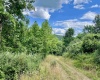 TBD O'Brian Road, Duck, West Virginia 25063, 0 , 0 ,0,Lots/land,For Sale,O'Brian,0,10165990