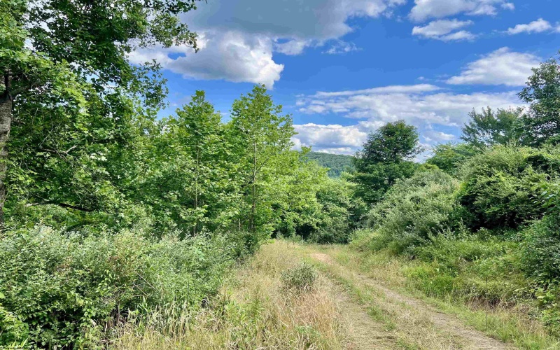 TBD O'Brian Road, Duck, West Virginia 25063, 0 , 0 ,0,Lots/land,For Sale,O'Brian,0,10165990