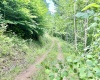 TBD O'Brian Road, Duck, West Virginia 25063, 0 , 0 ,0,Lots/land,For Sale,O'Brian,0,10165990