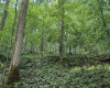 Lot 1 Hanging Run Road, Belington, West Virginia 26250, 0 , 0 ,0,Lots/land,For Sale,Hanging Run,0,10166000