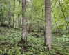 Lot 1 Hanging Run Road, Belington, West Virginia 26250, 0 , 0 ,0,Lots/land,For Sale,Hanging Run,0,10166000